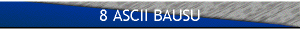 8 ASCII BAUSU